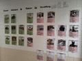 Besuch beim Tierschutzverein 2024
