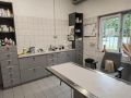Besuch beim Tierschutzverein 2024