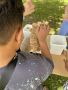 Sommerfest der Tagesförderung