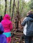 Waldtag mit Förster Bockstaller