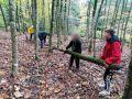 Waldtag mit Förster Bockstaller