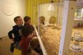 Museumsbesuch des Kindergartens bei der Kükenausstellung.