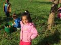 IMG 1610.JPGa