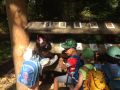 IMG 0302