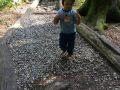 IMG 0331