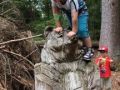 IMG 0337