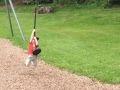IMG 0339