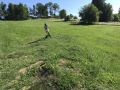 IMG 0208
